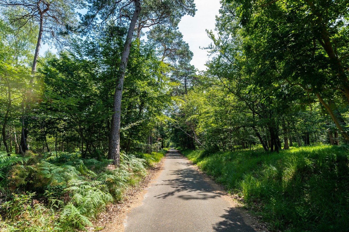 Fontainebleau